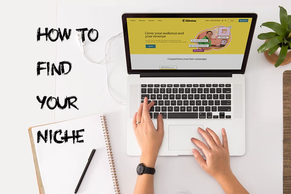 How to Choose a Profitable Dropshipping Niche