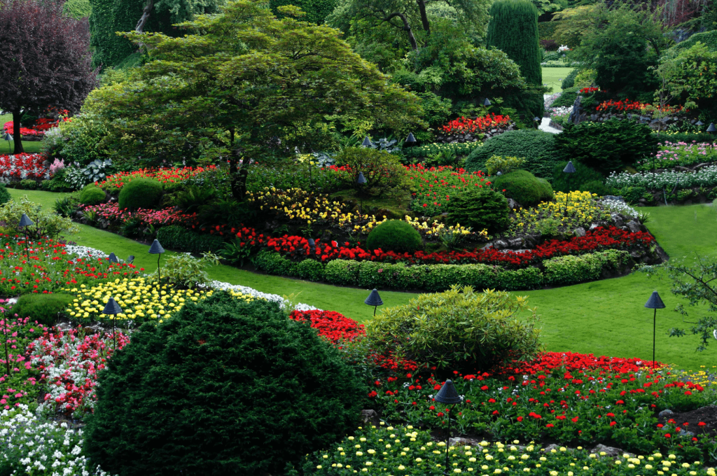 Plant Trees, Shrubs or Flowers Around Your Yard